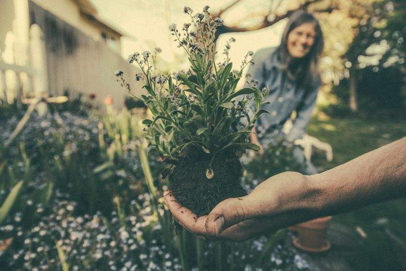 小さなスペースでも楽しめる植栽デザイン
